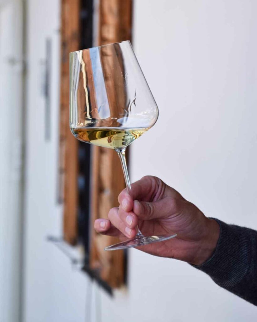 Illyr-Hof-Weisswein-im-Glas-001