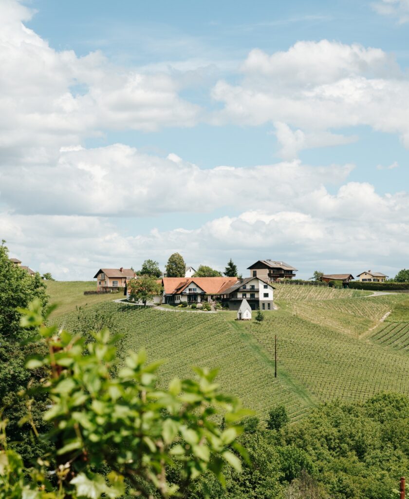 Ausblick von Illyrhof auf Muster.GAMLITZ Weinlagen und die besondere Ried Grubthal. Mehrere Häuser auf sanften Hügeln unter bewölktem hellblauen Sommerhimmel. Im Weingarten eine kleine Kapelle.