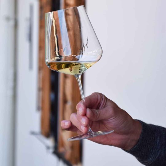 Illyr-Hof-Weisswein-im-Glas-001
